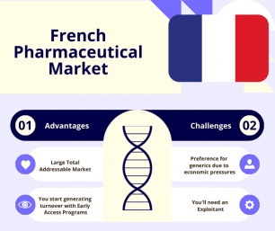 Infographic – French Pharmaceutical Market