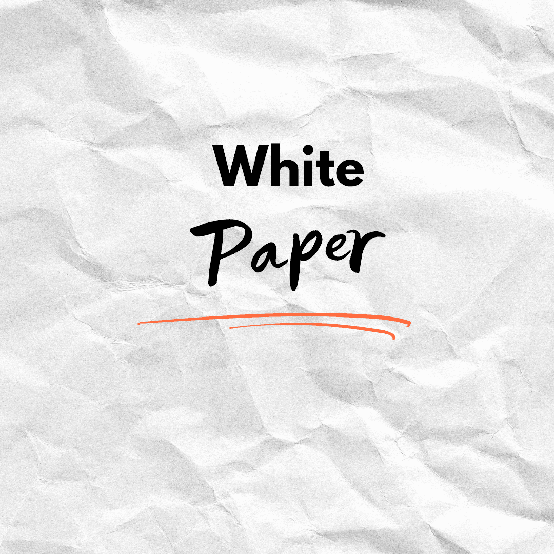 White Paper : Navigating the French Pharmaceutical Market