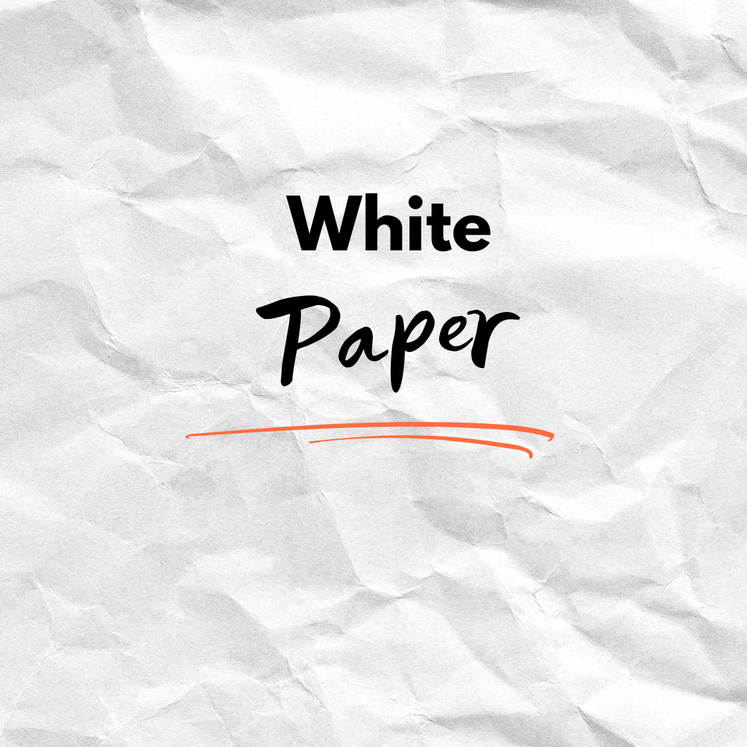 White Paper : Navigating the French Pharmaceutical Market